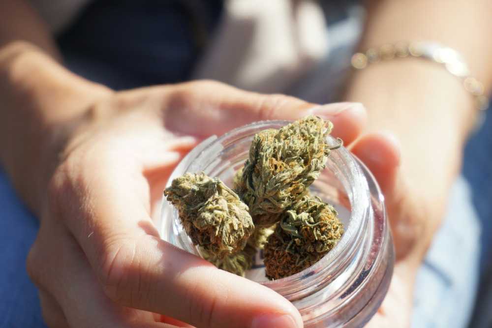 The Comprehensive Guide to CBD Flower
